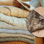 Ako sa zbaviť molí v skrinkách: len jedna rastlina vám