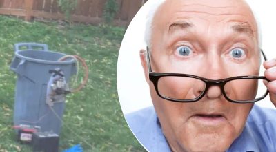 Podivný nález pri strome zanechal suseda zmäteného: aké tajomstvo skrýva